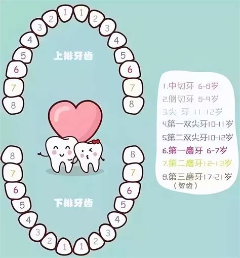 小朋友出大牙|宝宝出牙的顺序是什么？有哪些注意事项？